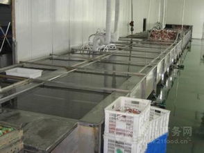 全自動海鮮解凍清洗機與肉類解凍機 鼎之信產品報價與功能介紹